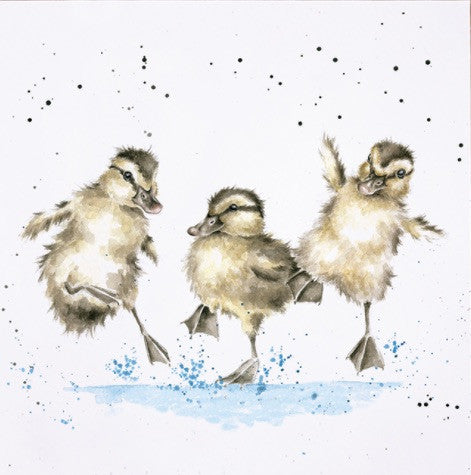 Puddle Duck's by Hannah Dale