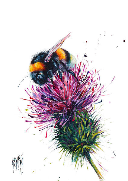 Barrie (Limited Edition) By Georgina McMaster