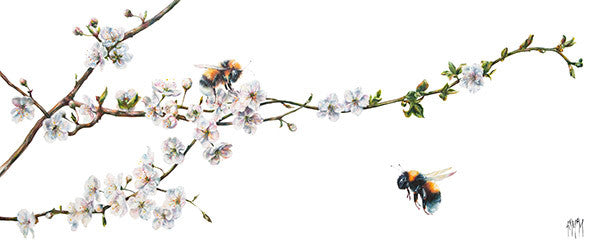 In Bloom (Limited Edition) By Georgina McMaster