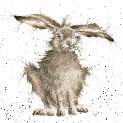 Hare Brained by Hannah Dale