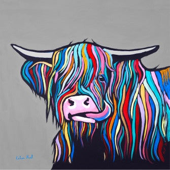 Heilan Coo 2 by Callum Nicol