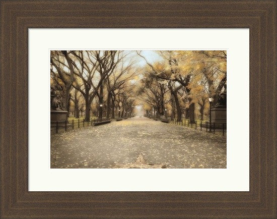 Walking in Central Park
