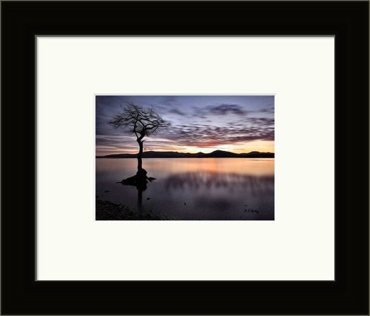 Reflections, Loch Lomond - Petite