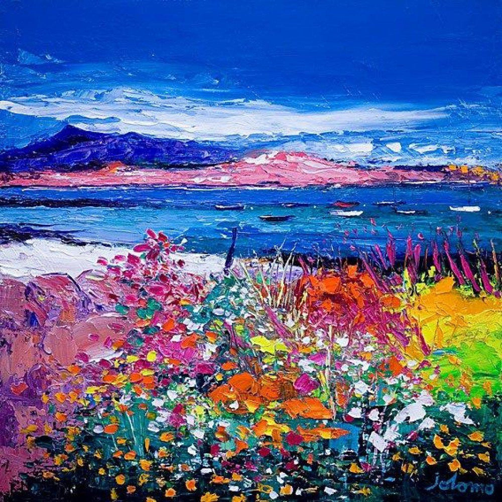 Front Gardens & the Moorings, Iona by Jolomo