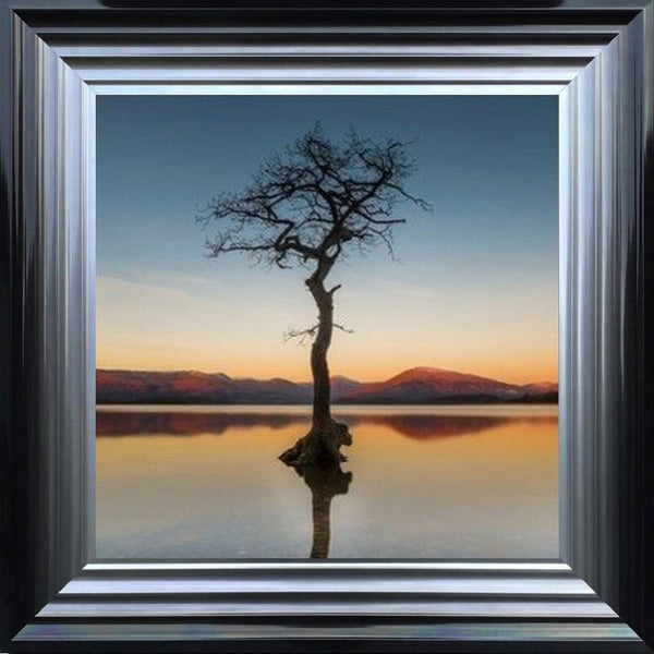 Reflected Tree, Loch Lomond