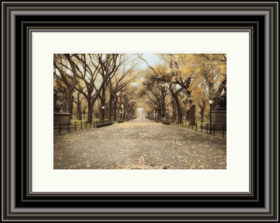 Walking in Central Park