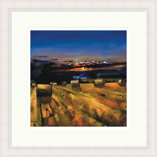 Harvest Sunset (Limited Edition) by Davy Brown