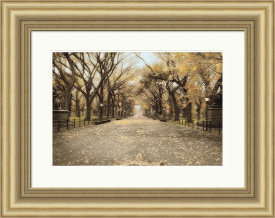 Walking in Central Park
