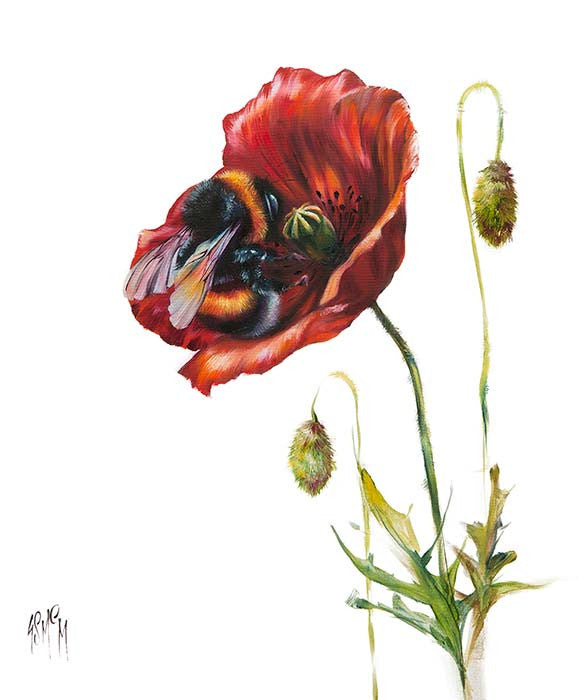 Poppy Love (Limited Edition) By Georgina McMaster