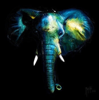Wild Light by Patrice Murciano