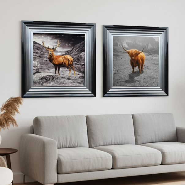 Highland Cows, Stags & Wildlife