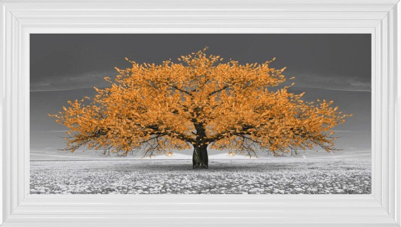 Orange Cherry Blossom Tree