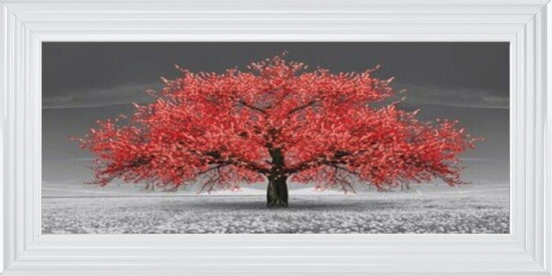 Red Cherry Blossom Tree