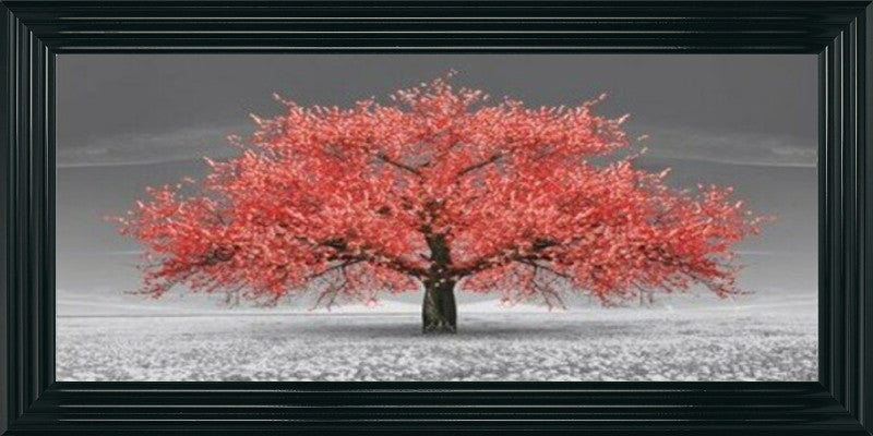 Red Cherry Blossom Tree