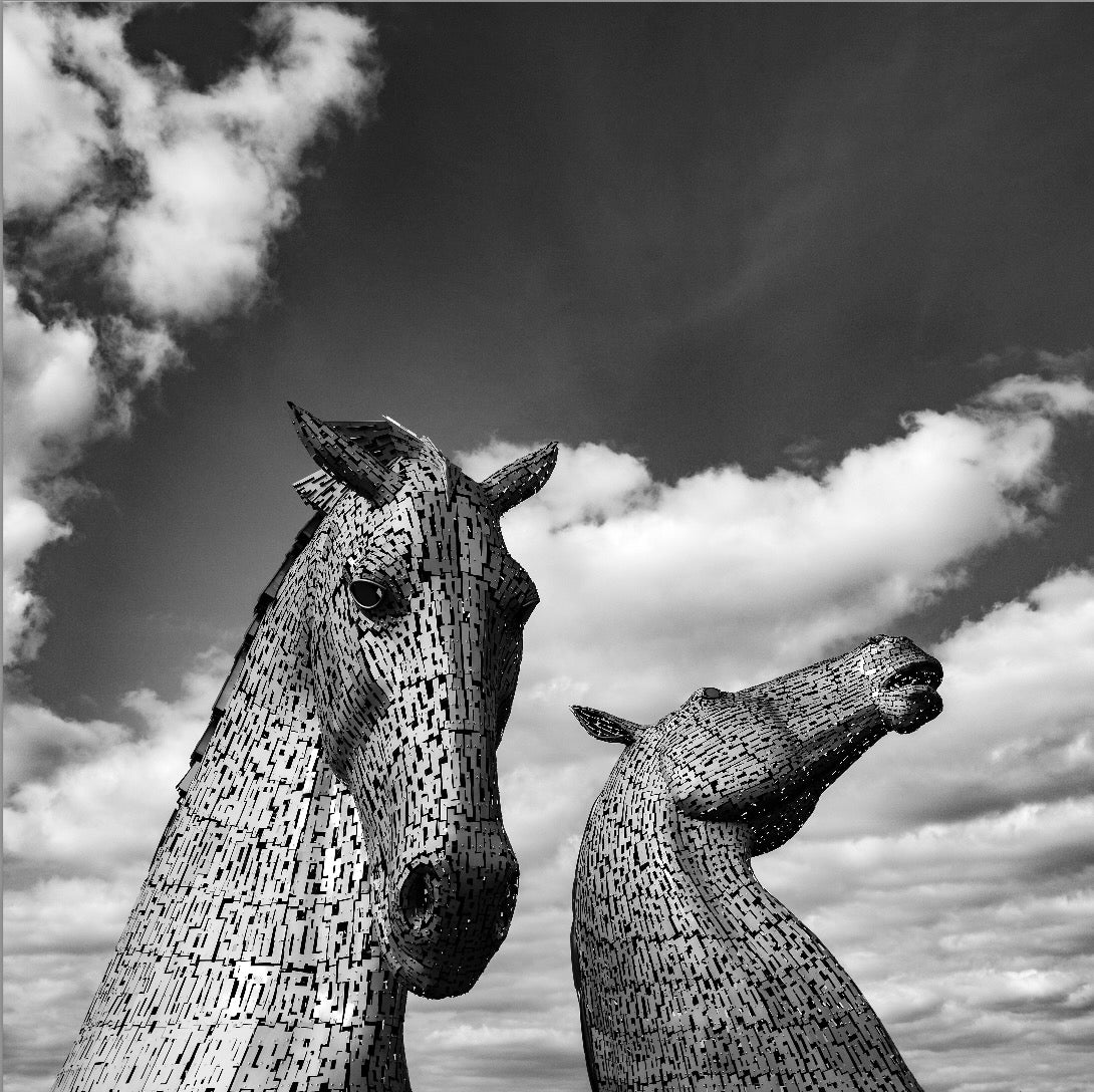 Kelpies Black and White