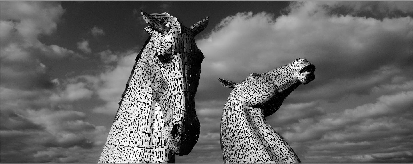 Kelpies Black and White Panoramic