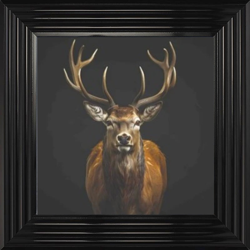 Majestic Stag