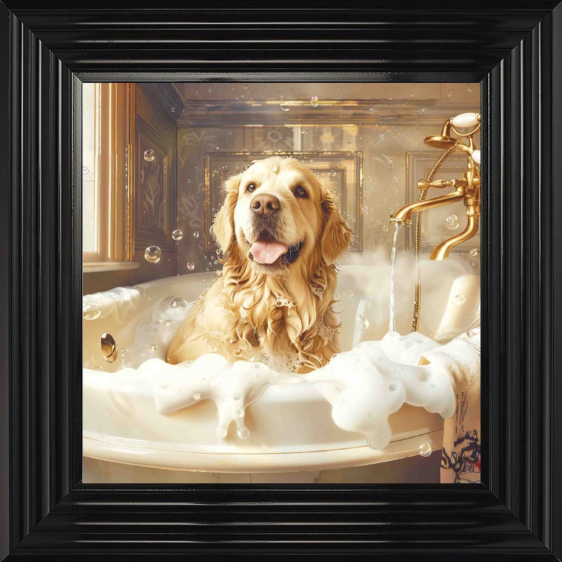 Golden Retriever Bath Time