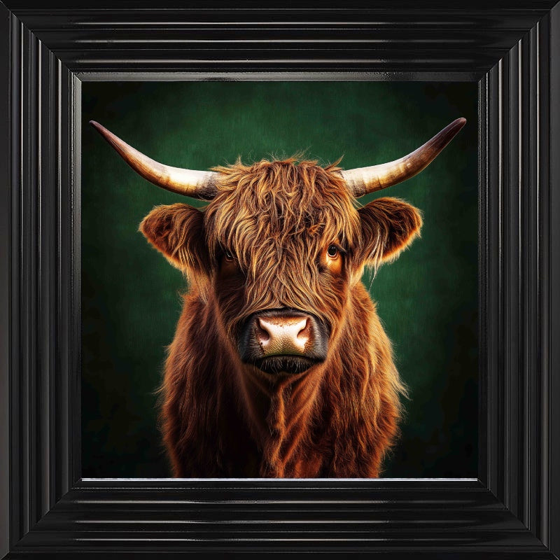 Highland Cow, Emerald