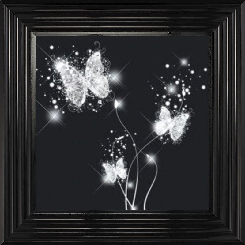 Black and White Butterflies