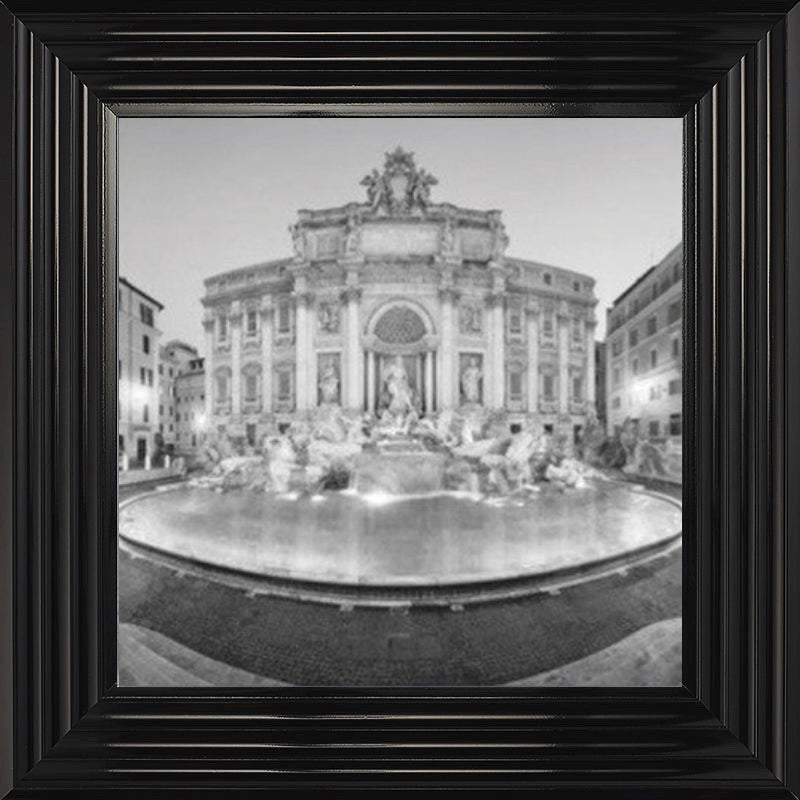 Trevi Fountain, Rome - Black and White