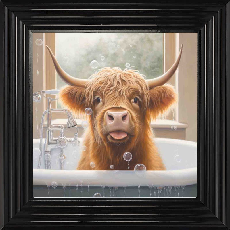 Highland Cow Bath Time