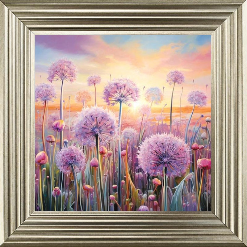 Pastel Allium Sunrise