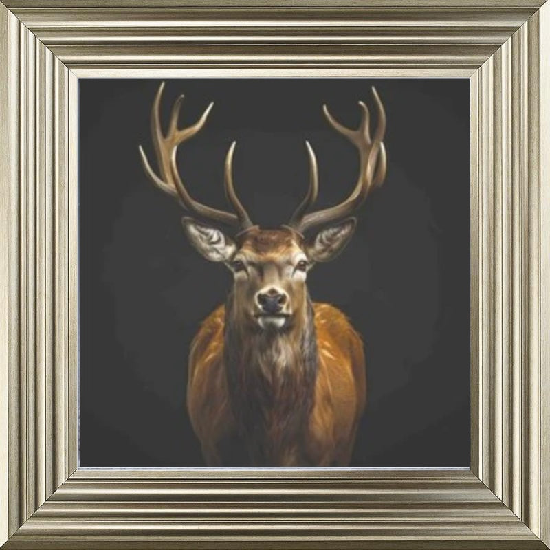 Majestic Stag