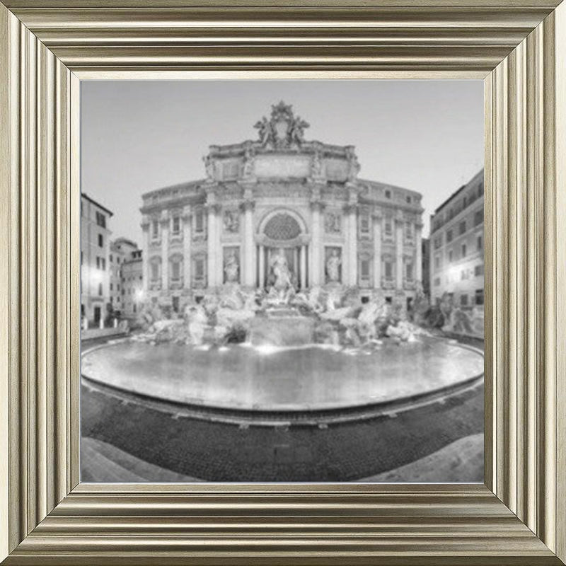 Trevi Fountain, Rome - Black and White