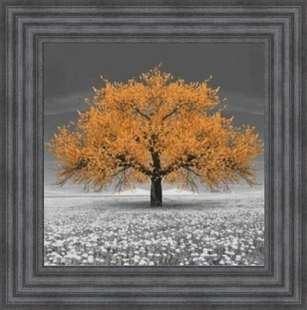 Orange Cherry Blossom Tree