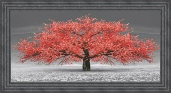 Red Cherry Blossom Tree