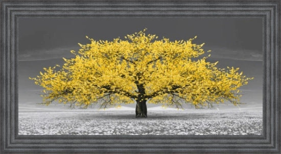Yellow Cherry Blossom Tree