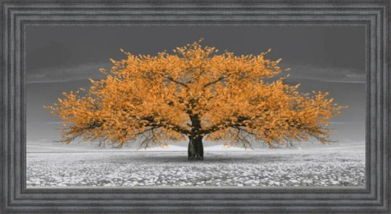 Orange Cherry Blossom Tree