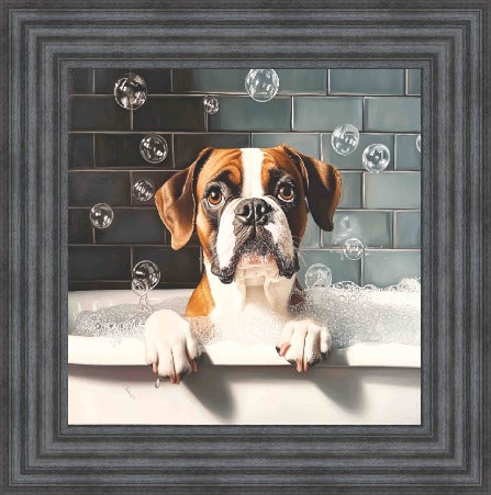 Boxer Bath Time