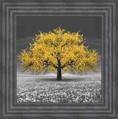 Yellow Cherry Blossom Tree