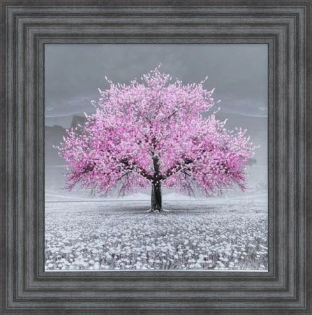 Pink Cherry Blossom Tree