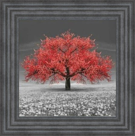 Red Cherry Blossom Tree