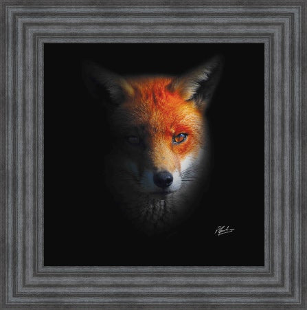 Dark Fox