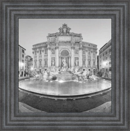 Trevi Fountain, Rome - Black and White