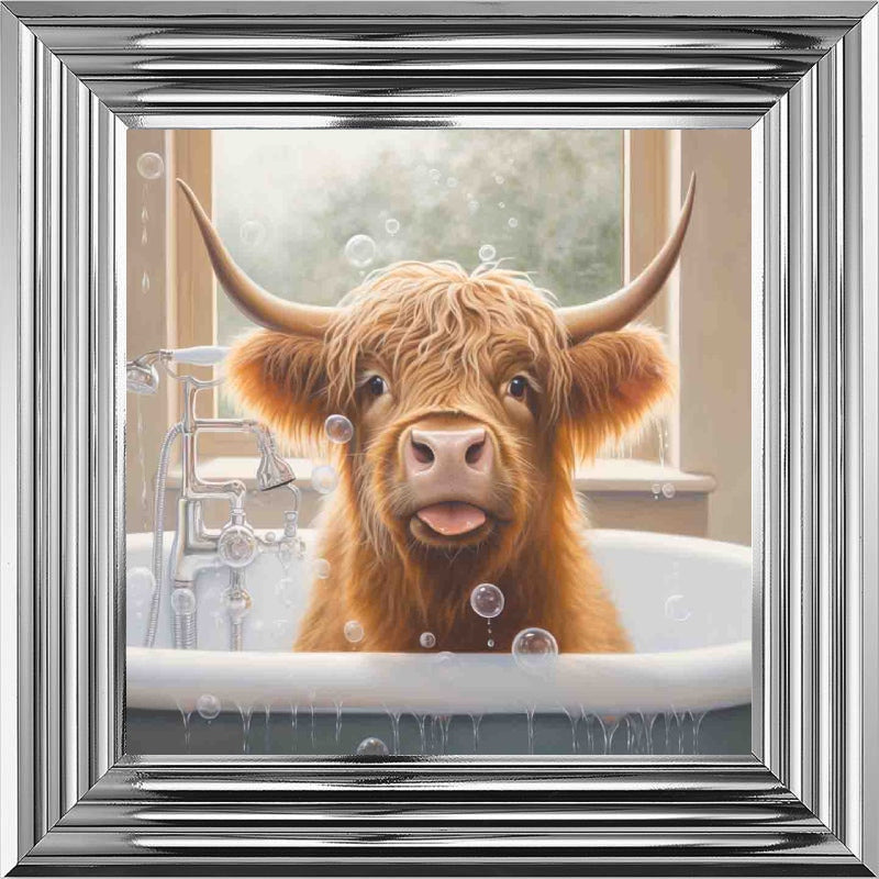 Highland Cow Bath Time