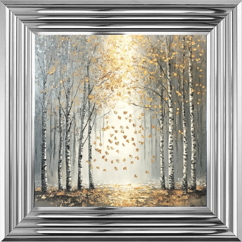 Silver Birch Moody Gold