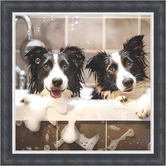 Border Collie Bath Time Mini Liquid Art