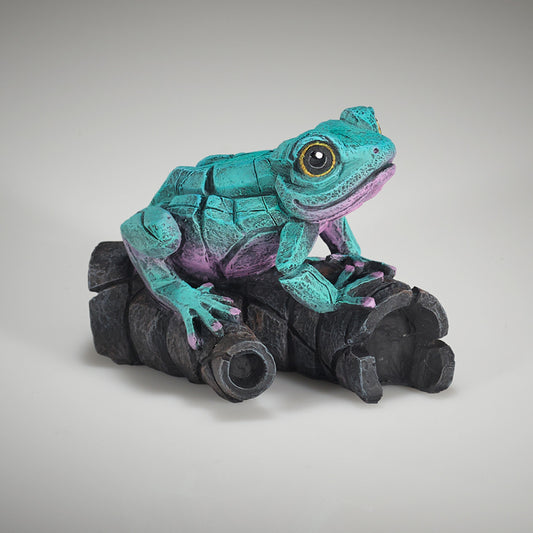 African Tree Frog (Aqua Pink) - Edge Sculpture