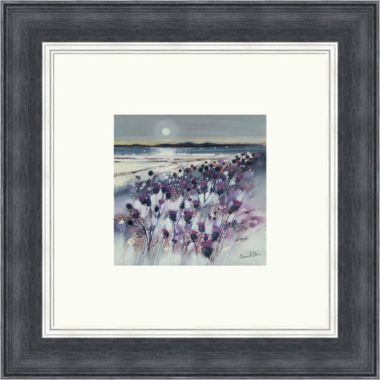 Flower of Scotland, Arran by Emma S Davis