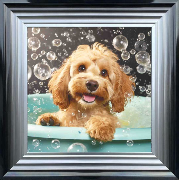 Cockapoo Bath Time
