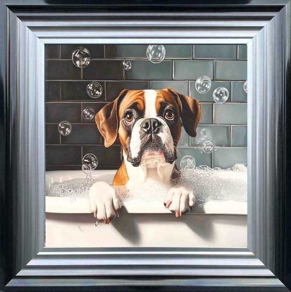 Boxer Bath Time