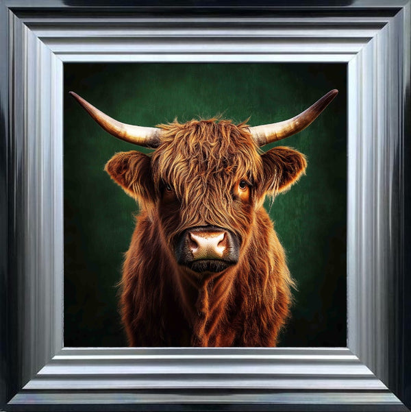 Highland Cow, Emerald