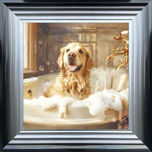 Golden Retriever Bath Time