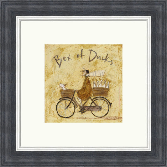 Box of Ducks by Sam toft