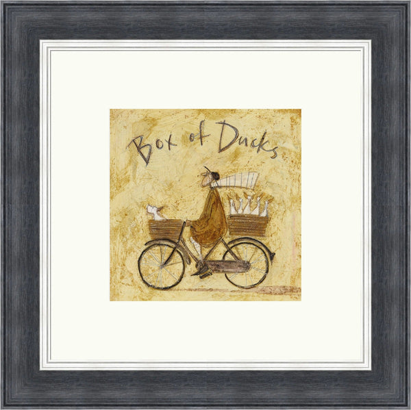 Box of Ducks by Sam toft